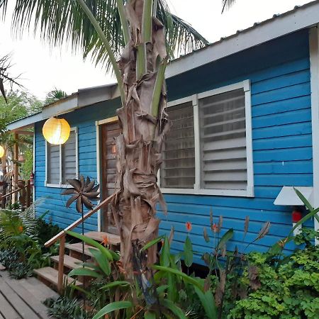 The Funky Dodo Backpackers Hostel Hopkins Eksteriør billede