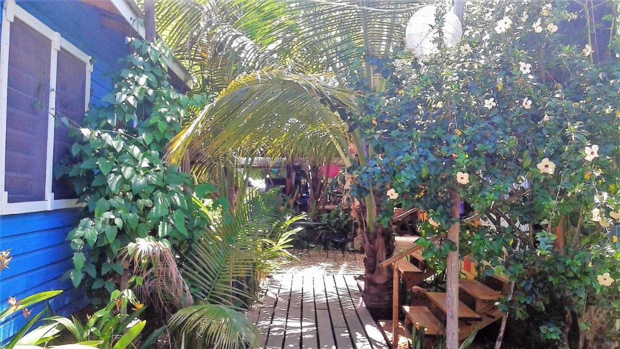 The Funky Dodo Backpackers Hostel Hopkins Eksteriør billede