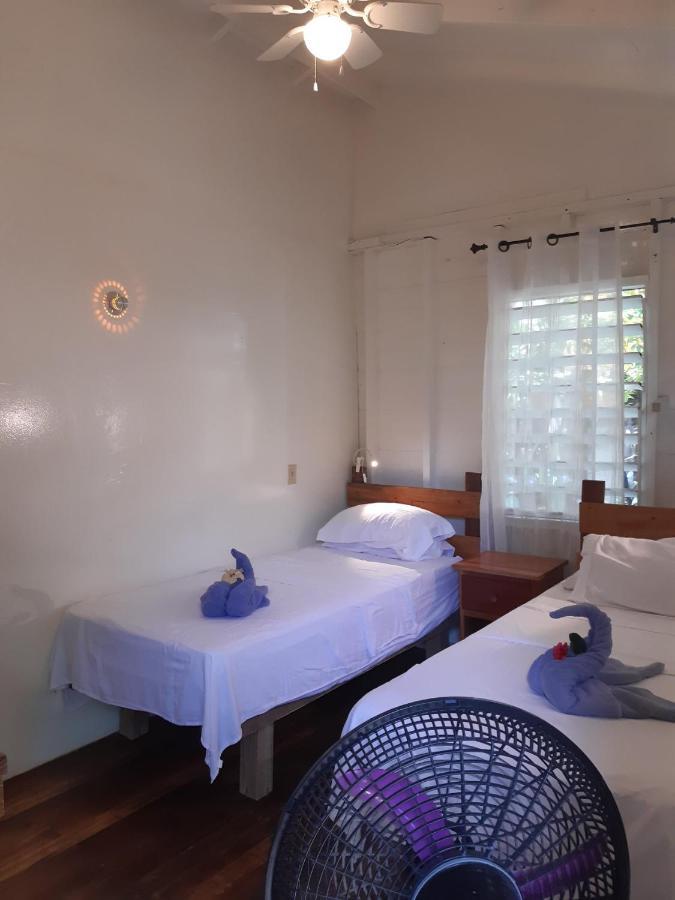The Funky Dodo Backpackers Hostel Hopkins Eksteriør billede