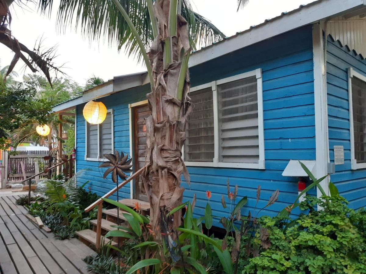 The Funky Dodo Backpackers Hostel Hopkins Eksteriør billede