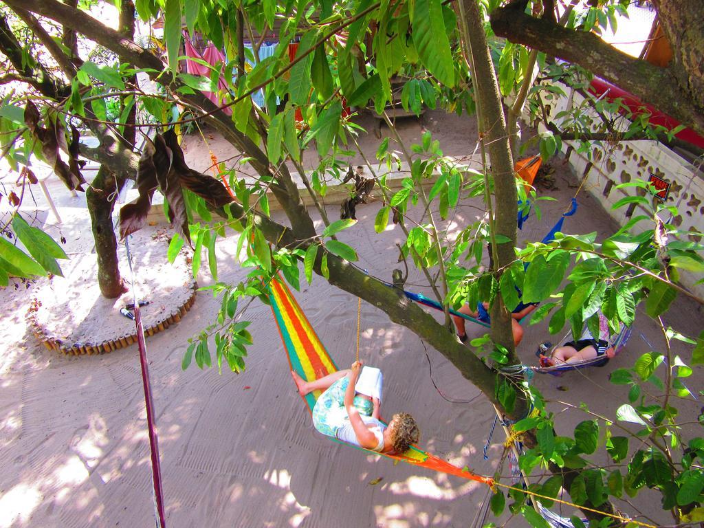 The Funky Dodo Backpackers Hostel Hopkins Eksteriør billede