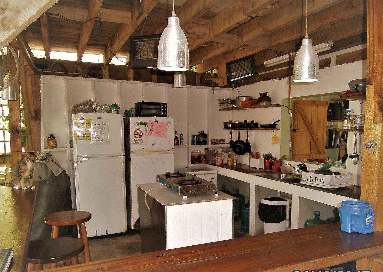 The Funky Dodo Backpackers Hostel Hopkins Eksteriør billede