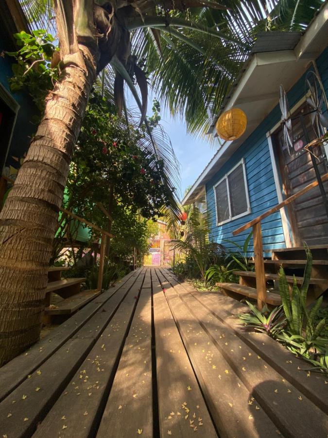 The Funky Dodo Backpackers Hostel Hopkins Eksteriør billede