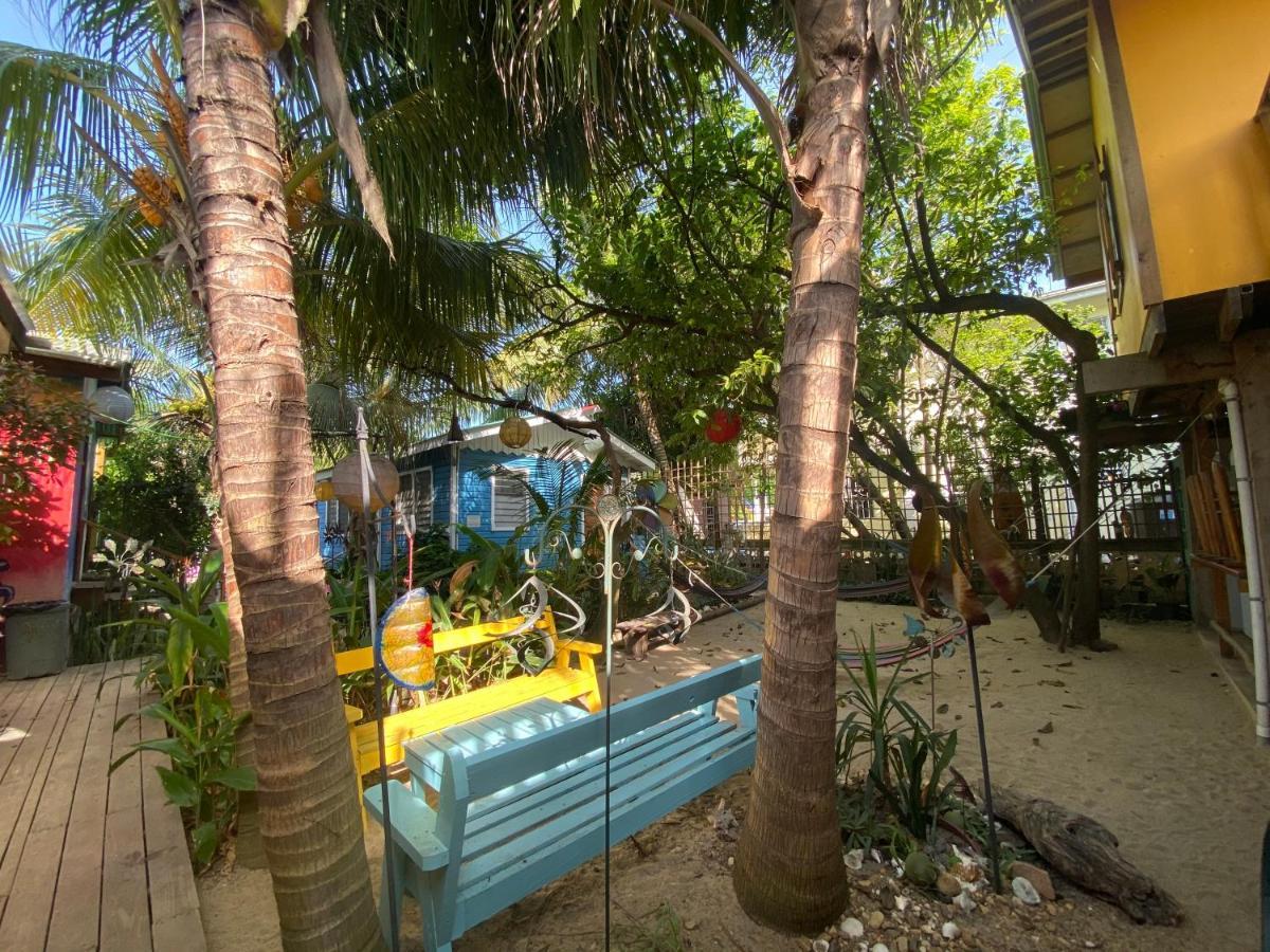 The Funky Dodo Backpackers Hostel Hopkins Eksteriør billede