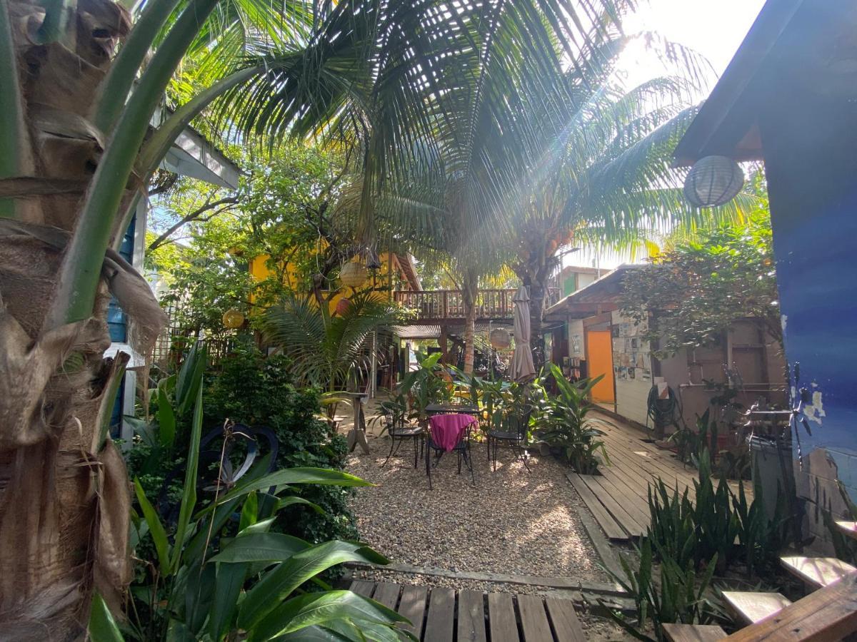 The Funky Dodo Backpackers Hostel Hopkins Eksteriør billede