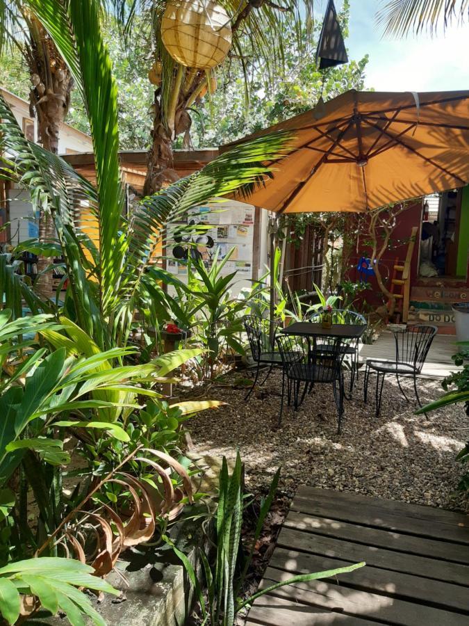 The Funky Dodo Backpackers Hostel Hopkins Eksteriør billede